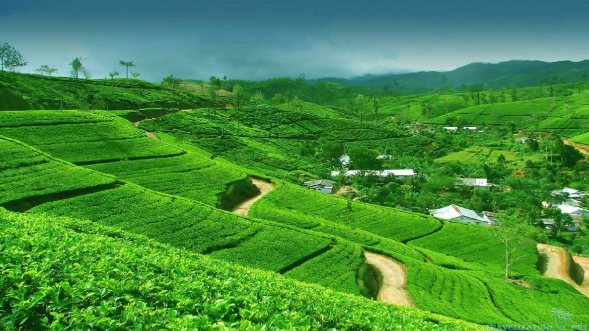 wp1858003-sri-lanka-wallpapers-1-1.jpg