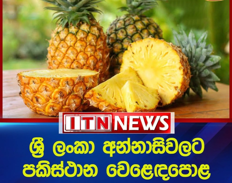 Sri Lanka Secures Market Access for Fresh Pineapples to Pakistan