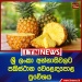Sri Lanka Secures Market Access for Fresh Pineapples to Pakistan